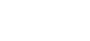 Mears Liner